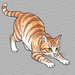 Animal Text Series-AT 3518